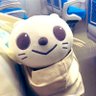 Profilbild von ラピス🍀らぴぴ⛸⚽️