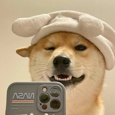 weierdayix2088's profile picture