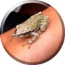 hana's profile picture