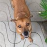 Profilbild von Caco