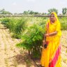 sunita Choudhary profil fotoğrafı