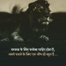 Ahmed Sohel 的头像