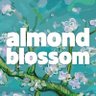 almondblossom 的头像