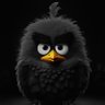 Profilbild von πr
