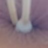 Y's profile picture