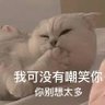 专门来看乐殖人🇨🇳🇭🇰🇲🇴🇹🇼 的头像