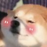 simple's profile picture