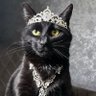 AngelEyes's profile picture
