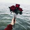 Фото профиля Hebo