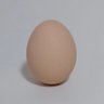 Profilbild von 6b01l
