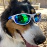 Profilbild von Casper