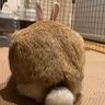 sawatch10 的头像