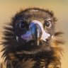 MfG_Nicole's profile picture