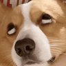 CryptoBro's profile picture