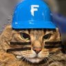 おばちゃんだがね 的头像