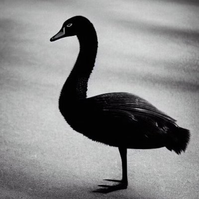 Igor Babuschkin's profile picture