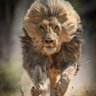 Фото профиля Rajeev Ranjan