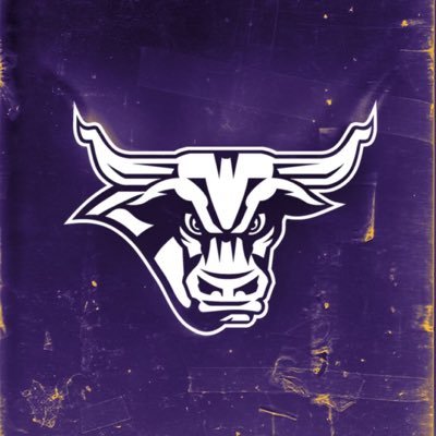 Minnesota State Hockey's profile picture
