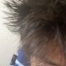 Profilbild von Jz| Phoenix