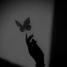 جميلة 🕊️|'s profile picture