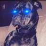 Profilbild von Robbie