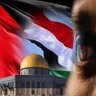Profilbild von محمد سيف