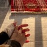 Profilbild von آيَةْ🇵🇸