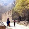پیاده افغان profil fotoğrafı