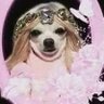 Profilbild von Dyl