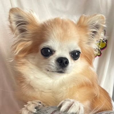 TK's profile picture