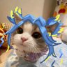 Фото профиля あ ら ん