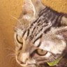 Profilbild von Fernando