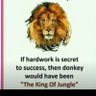LionKing 的头像