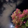 سـحـر's profile picture