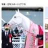 さくらもも's profile picture