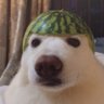 Archibald's profile picture