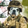 john jaime castañeda ramirez's profile picture