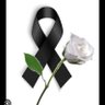 Marta Cruz's profile picture