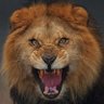 Chris Wood's profile picture