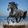 yonb profil fotoğrafı