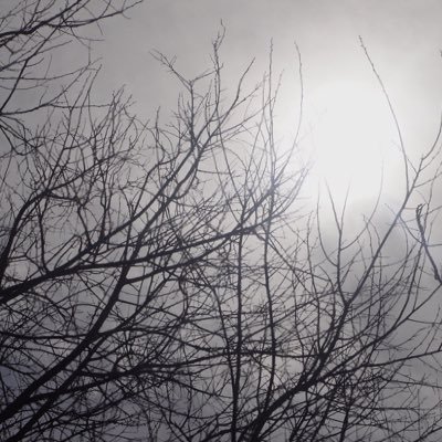 txzzi's profile picture