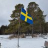 Profilbild von KalleF🇸🇪