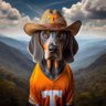 Profilbild von Tennessee Tweeter