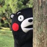 หมีติดมัน 的头像