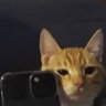 yori picience's profile picture