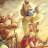 nisha thakur's profile picture