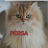 Cristina profil fotoğrafı
