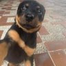 thyagoo profil fotoğrafı
