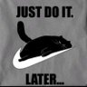 Profilbild von Yocef bingo