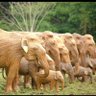 Фото профиля நல்லான்